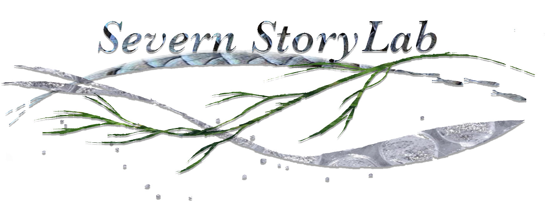Severn StoryLab